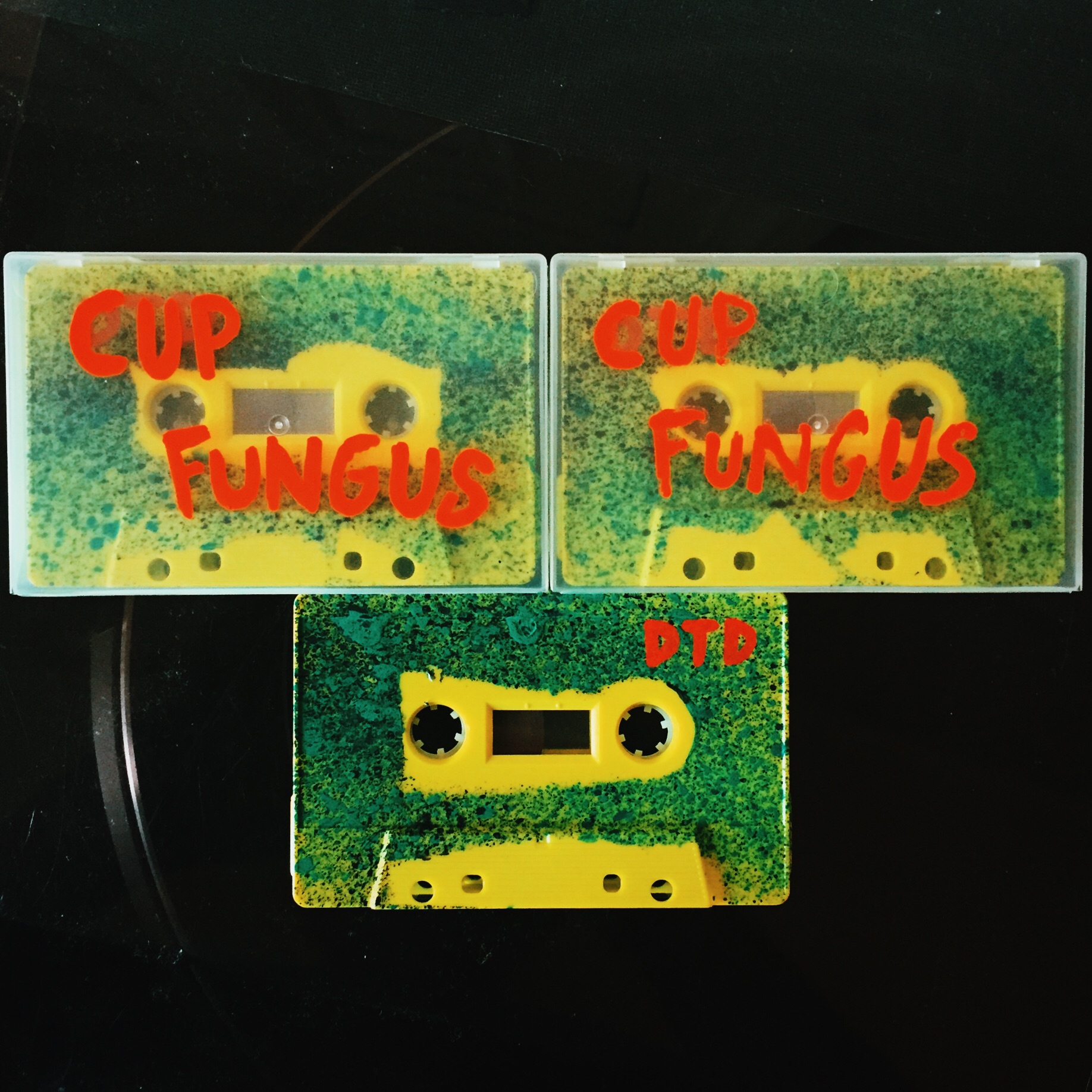 cup fungus cassette.jpg